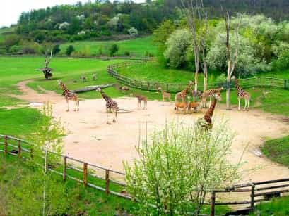 dostoprimechatelnocti-praga9 